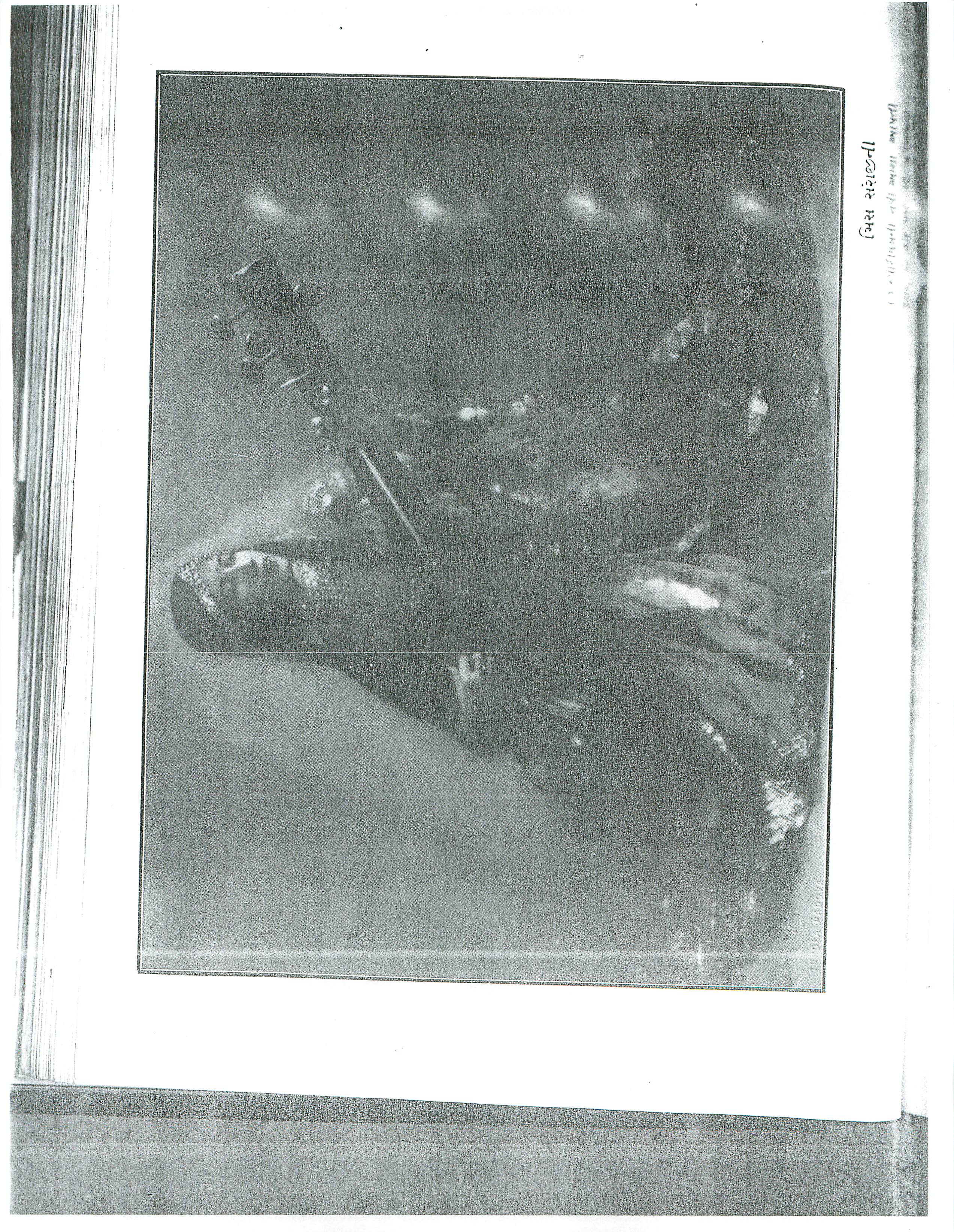 Pune 13