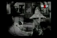 shehzadi