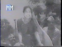 sheila-vaz