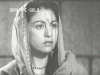 veena