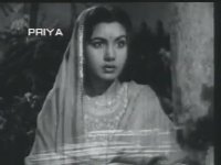 nimmi